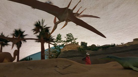 Sternberg Museum of Natural History